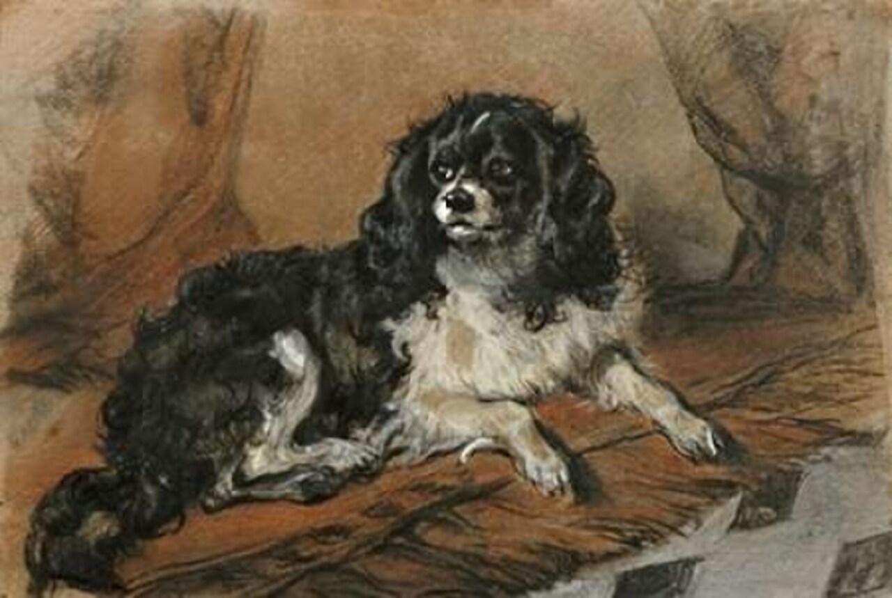 A King Charles Spaniel Poster Print by Sir Edwin Landseer - Item # VARPDX266720